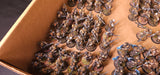 Horus Heresy - Solar Auxilia - High-Quality Painted Forge World Army