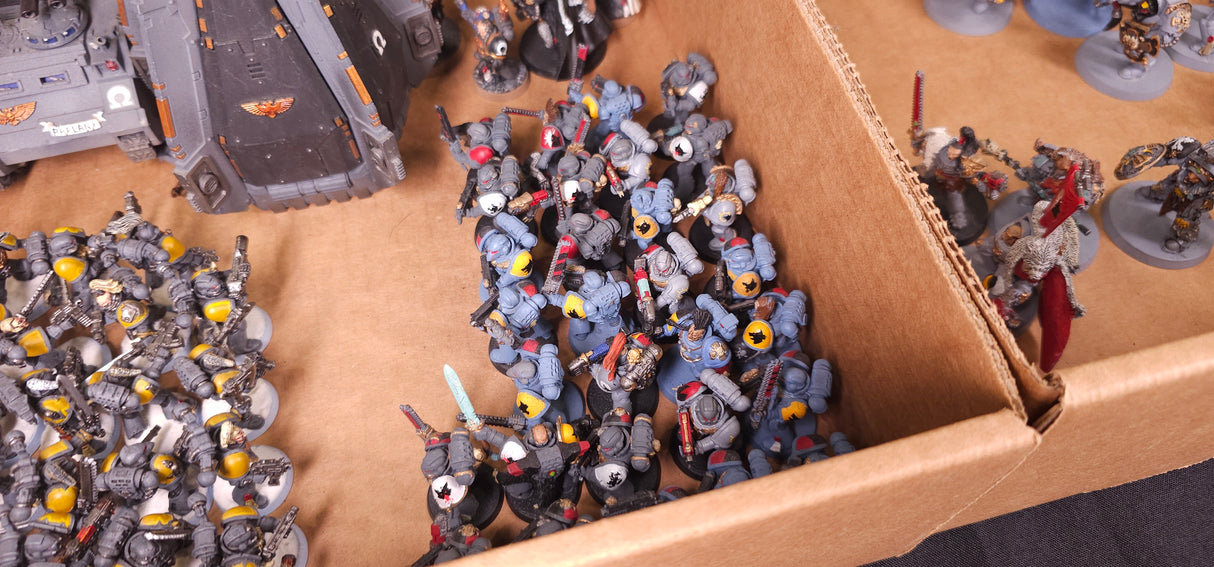Warhammer 40,000 - Space Marines - Firstborn & Space Wolves Project Army