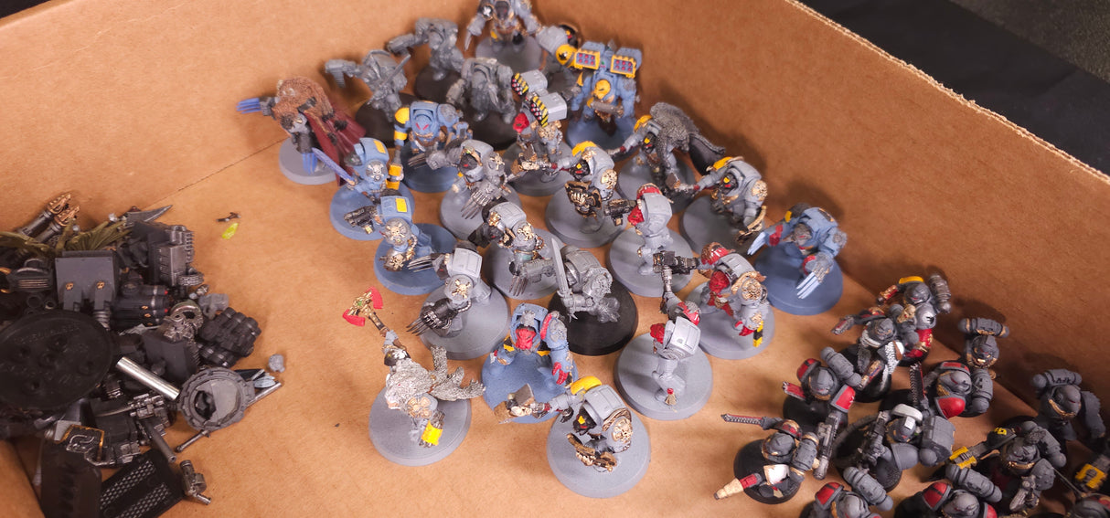 Warhammer 40,000 - Space Marines - Firstborn & Space Wolves Project Army