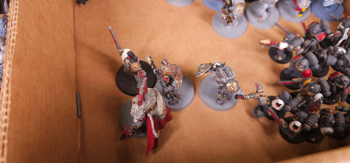 Warhammer 40,000 - Space Marines - Firstborn & Space Wolves Project Army