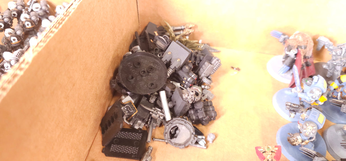 Warhammer 40,000 - Space Marines - Firstborn & Space Wolves Project Army