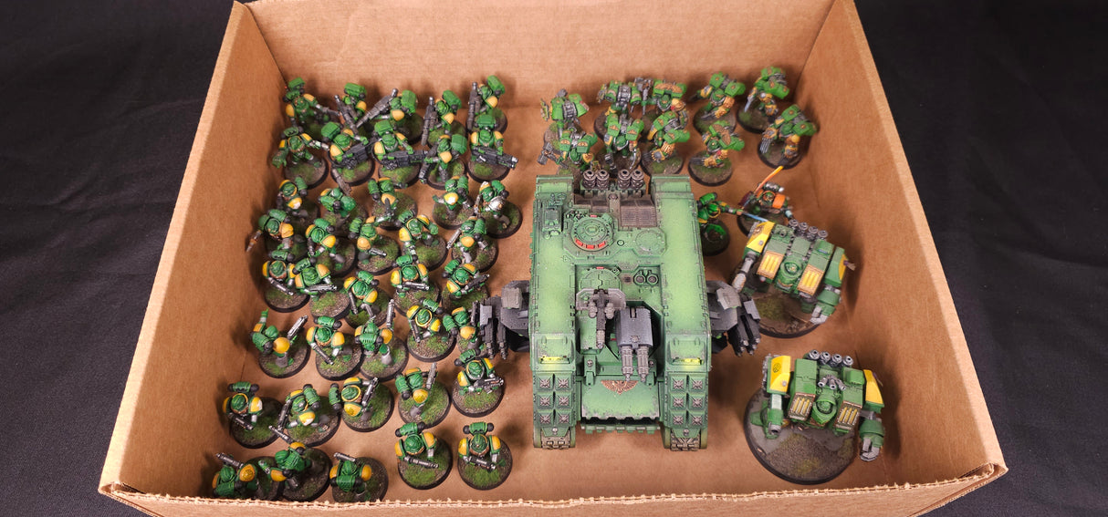 Warhammer 40,000 - Space Marines - Sentinels of the Forge Painted Army #2