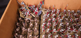 Warhammer: The Old World - Tomb Kings of Khemri - Painted Infantry, Chariot & Construct Army