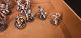Horus Heresy - Death Guard - Painted Legion Army with Mortarion