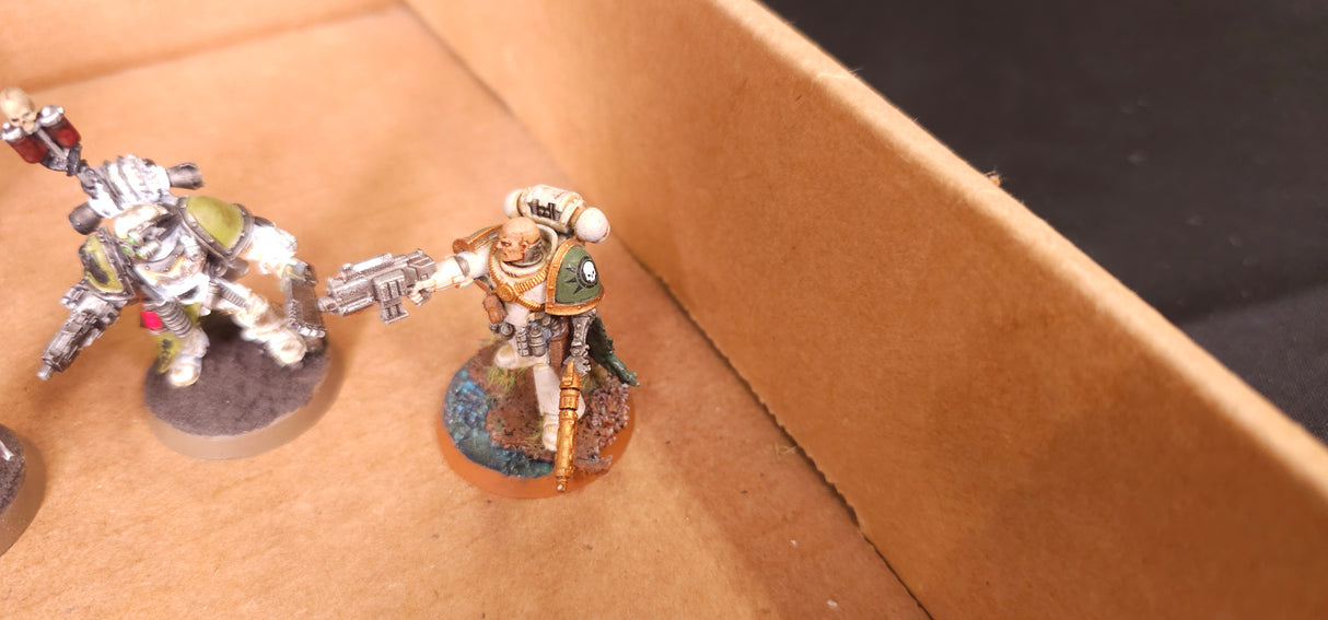 Horus Heresy - Death Guard - Painted Legion Army with Mortarion