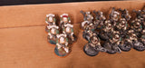 Horus Heresy - Death Guard - Painted Legion Army with Mortarion