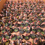 Warhammer 40,000 - Astra Militarum - Painted Catachan Army with Iron Hand Straken