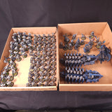 Warhammer 40,000 - Necrons - Painted Infantry, Characters (Trazyn) & Vehicle Army