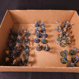 Warhammer 40,000 - Necrons - Painted Lychguard & Triarch Praetorian Elite Infantry