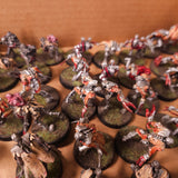 Warhammer 40,000 - Necrons - Painted Flayed Ones Infantry Lot