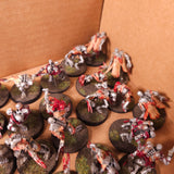 Warhammer 40,000 - Necrons - Painted Flayed Ones Infantry Lot