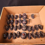 Warhammer 40,000 - Genestealer Cults - Painted Atalan Jackals Bike Force