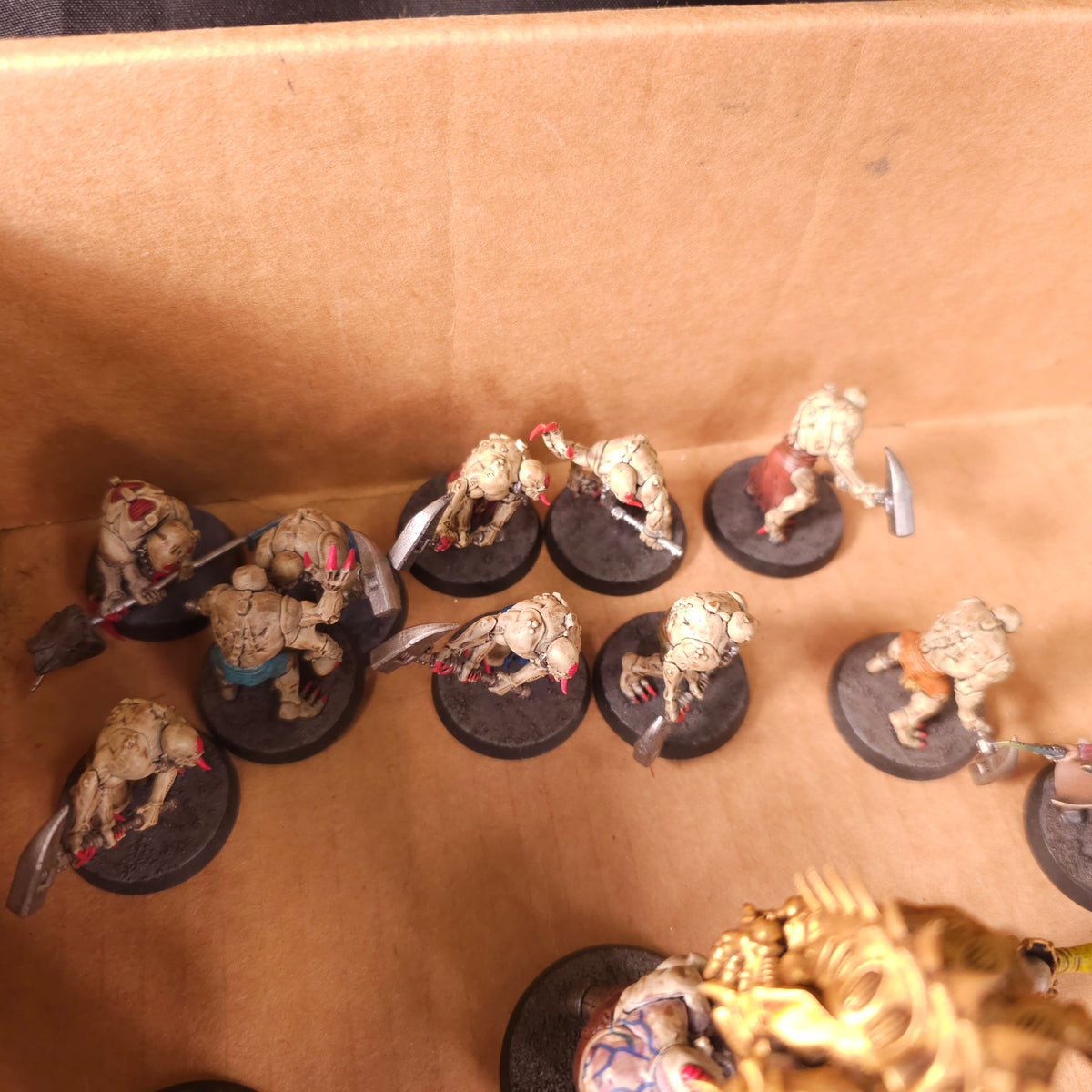 Warhammer 40,000 - Genestealer Cults - Painted Infantry & Character Army #1