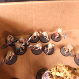 Warhammer 40,000 - Genestealer Cults - Painted Infantry & Character Army #1