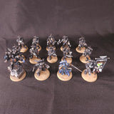Warhammer 40,000 - Raven Guard - Kayvaan Shrike, Characters & Intercessors