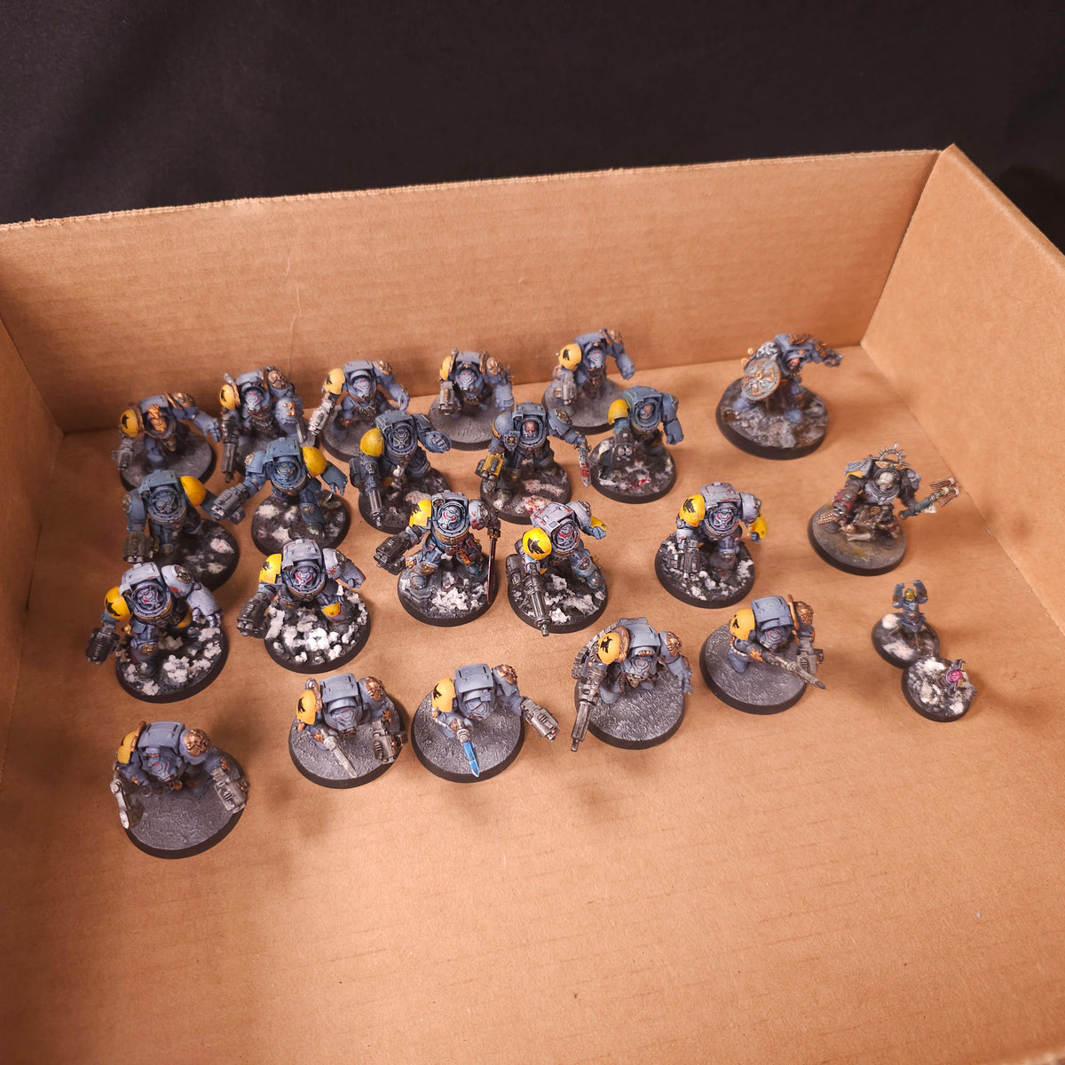 Warhammer 40,000 - Space Wolves - Painted Wolf Guard Terminator Force