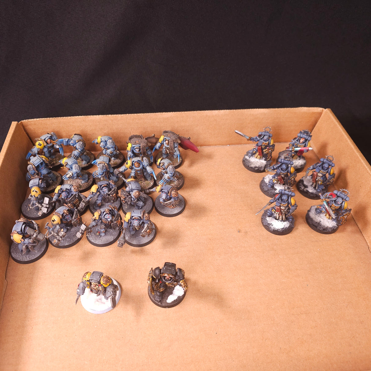Warhammer 40,000 - Space Wolves - Painted Terminator & Bladeguard Veteran Force
