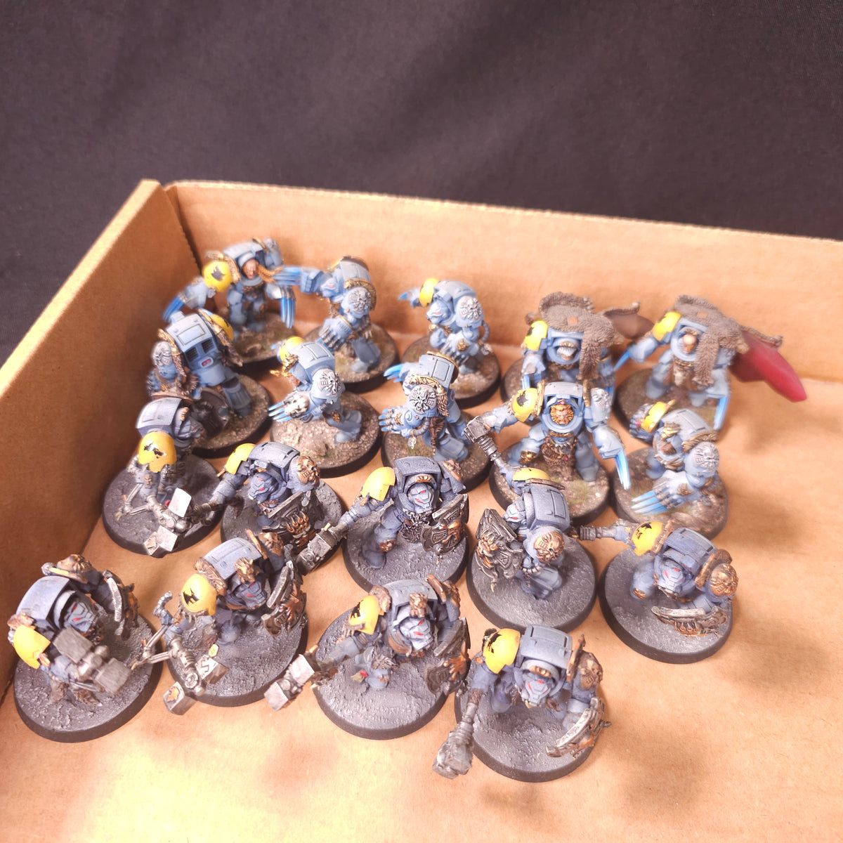 Warhammer 40,000 - Space Wolves - Painted Terminator & Bladeguard Veteran Force