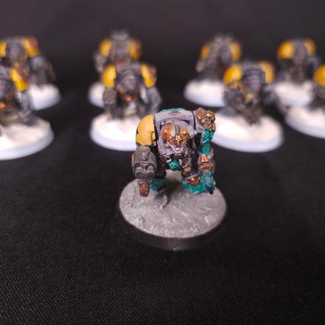 Warhammer 40,000 - Space Wolves - OOP Wolf Guard Terminators & Logan Grimnar
