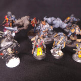Warhammer 40,000 - Space Wolves - 13 Painted Characters with Converted Logan Grimnar
