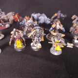 Warhammer 40,000 - Space Wolves - 13 Painted Characters with Converted Logan Grimnar
