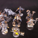 Warhammer 40,000 - Space Wolves - 13 Painted Characters with Converted Logan Grimnar