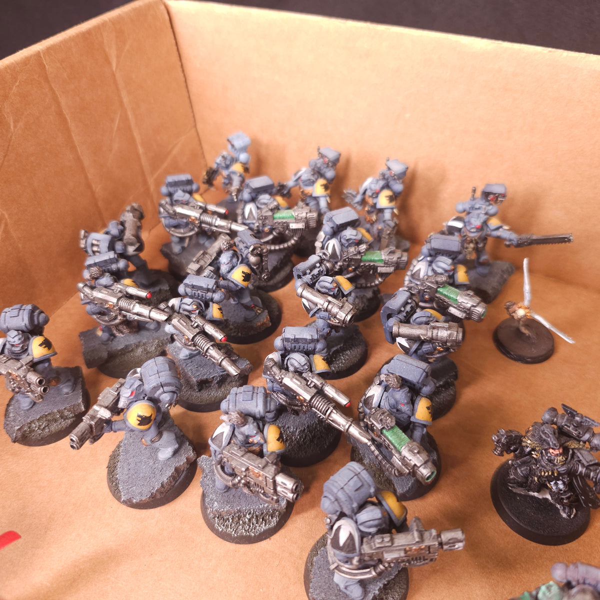 Warhammer 40,000 - Space Wolves - Painted Firstborn Infantry & Characters