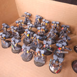 Warhammer 40,000 - Space Wolves - Painted Jump Pack Infantry Force
