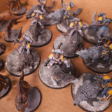 Warhammer 40,000 - Space Wolves - Painted Thunderwolf Cavalry & Fenrisian Wolves