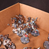 Warhammer 40,000 - Space Wolves - Painted Wulfen Force
