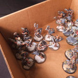 Warhammer 40,000 - Space Wolves - Painted Wulfen Force
