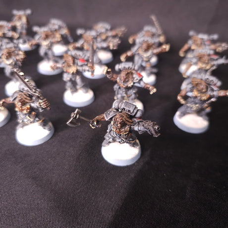 Warhammer 40,000 - Space Wolves - OOP Metal 13th Company Wulfen