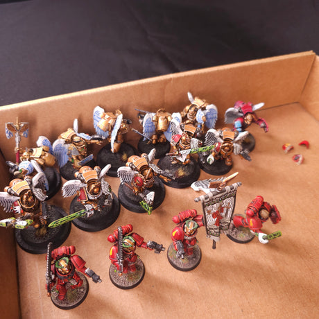 Warhammer 40,000 - Blood Angels - Painted Firstborn Infantry & Sanguinary Guard Force