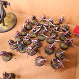 Warhammer Age of Sigmar / The Old World - Dark Elves - Black Ark Corsairs & War Hydras