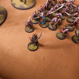 Warhammer Age of Sigmar / The Old World - Dark Elves - Black Ark Corsairs & War Hydras