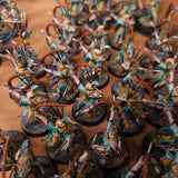 Age of Sigmar - Lumineth Realm-lords - Painted Vanari Infantry & Ballistas
