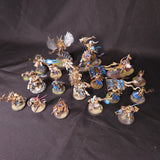 Age of Sigmar - Stormcast Eternals - Painted Yndrasta and Hero Collection