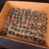 Age of Sigmar / The Old World - Seraphon / Lizardmen - Painted Saurus Infantry