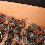 Age of Sigmar / The Old World - Seraphon / Lizardmen - Painted Saurus Infantry