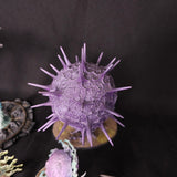 Age of Sigmar - Universal Endless Spells - Painted Spell Collection and Balewind Vortices