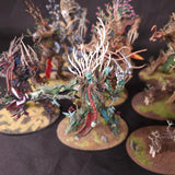 Age of Sigmar - Sylvaneth - Painted Treelord and Spirit of Durthu Collection