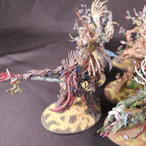 Age of Sigmar - Sylvaneth - Painted Treelord and Spirit of Durthu Collection