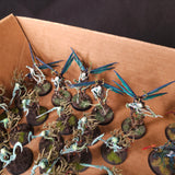 Age of Sigmar - Sylvaneth - Painted Revenant Infantry and Gossamid Archers