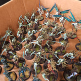 Age of Sigmar - Sylvaneth - Painted Revenant Infantry and Gossamid Archers