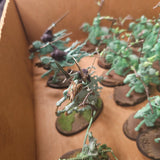 Warhammer Age of Sigmar - Nighthaunt - Painted Spectral Cavalry