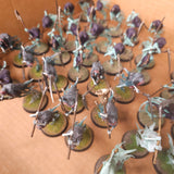 Warhammer Age of Sigmar - Nighthaunt - Painted Elite Infantry