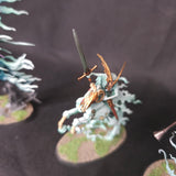 Warhammer Age of Sigmar - Nighthaunt - Painted Named Characters and Mounted Leader