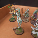 Warhammer Age of Sigmar - Nighthaunt - Painted Heroes and Spectral Support