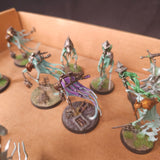 Warhammer Age of Sigmar - Nighthaunt - Painted Heroes and Spectral Support