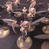 Age of Sigmar - Maggotkin of Nurgle - Painted Rot Fly Cavalry